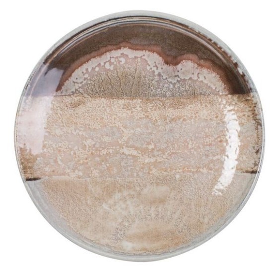 Πιάτο ρηχό 23εκ. new bone china Natura